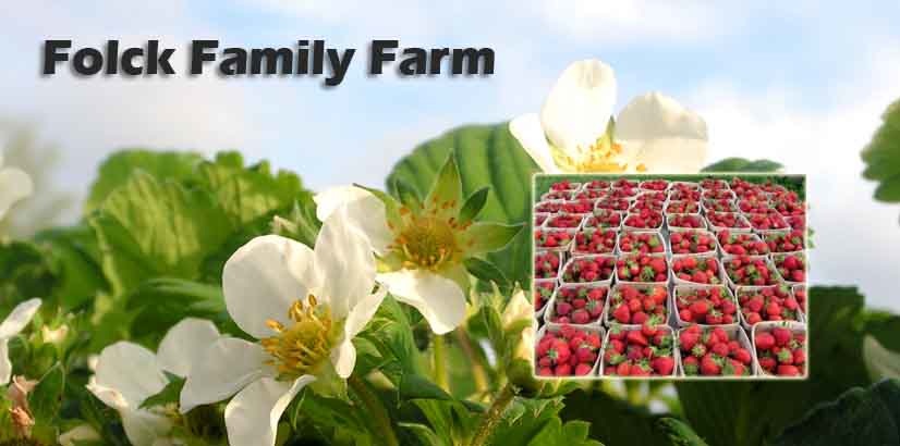 strawberries